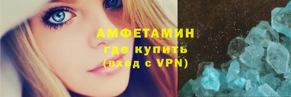 прущие грибы Тында