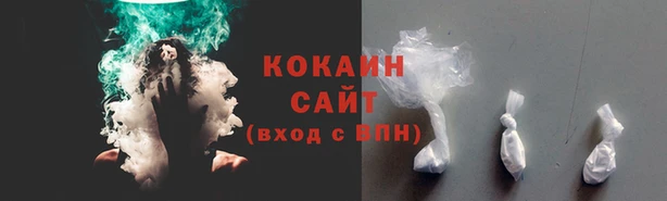 2c-b Дмитриев