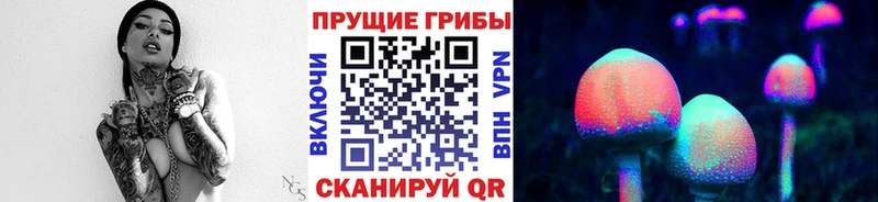 где продают   omg зеркало  Галлюциногенные грибы ЛСД  Плавск 